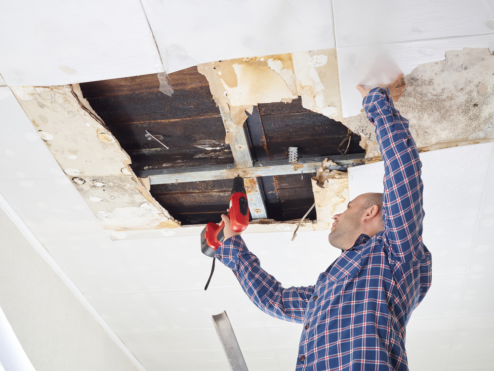 Safeguard Your Property: Common Summer Restoration Jobs in Russellville, AL